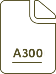 a300